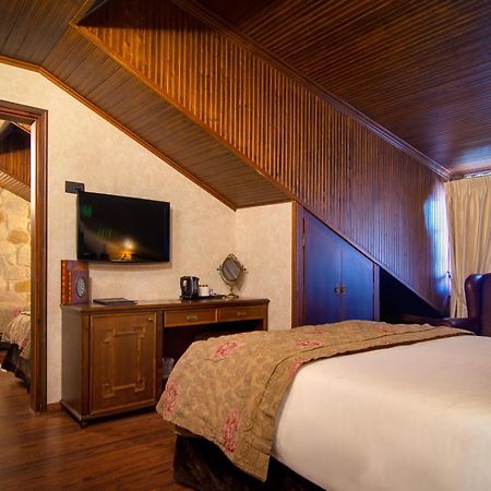 Hotel Kassaros Metsovo Extérieur photo
