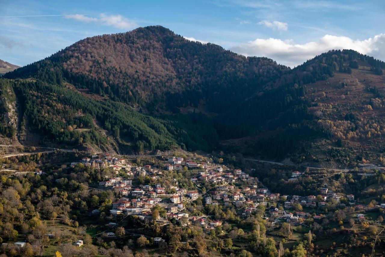 Hotel Kassaros Metsovo Extérieur photo